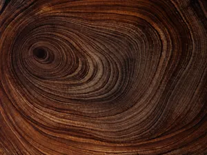 THUMBNAIL_Finite & Infinite Games