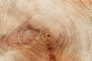 THUMBNAIL_The Key to High-Performing Teams