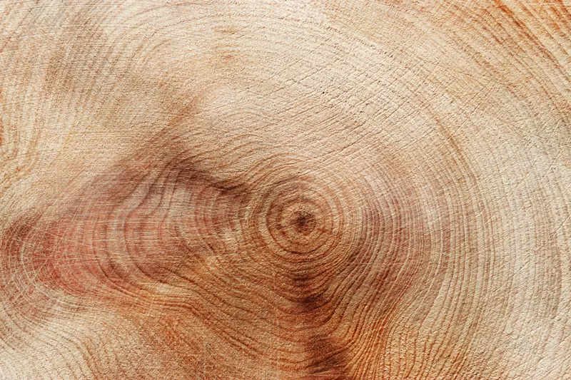 THUMBNAIL_The Key to High-Performing Teams