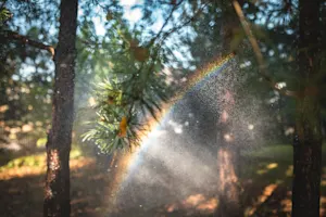 THUMBNAIL_Replace Fear with Learning