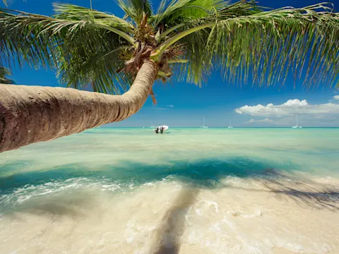 Vakantie Samana