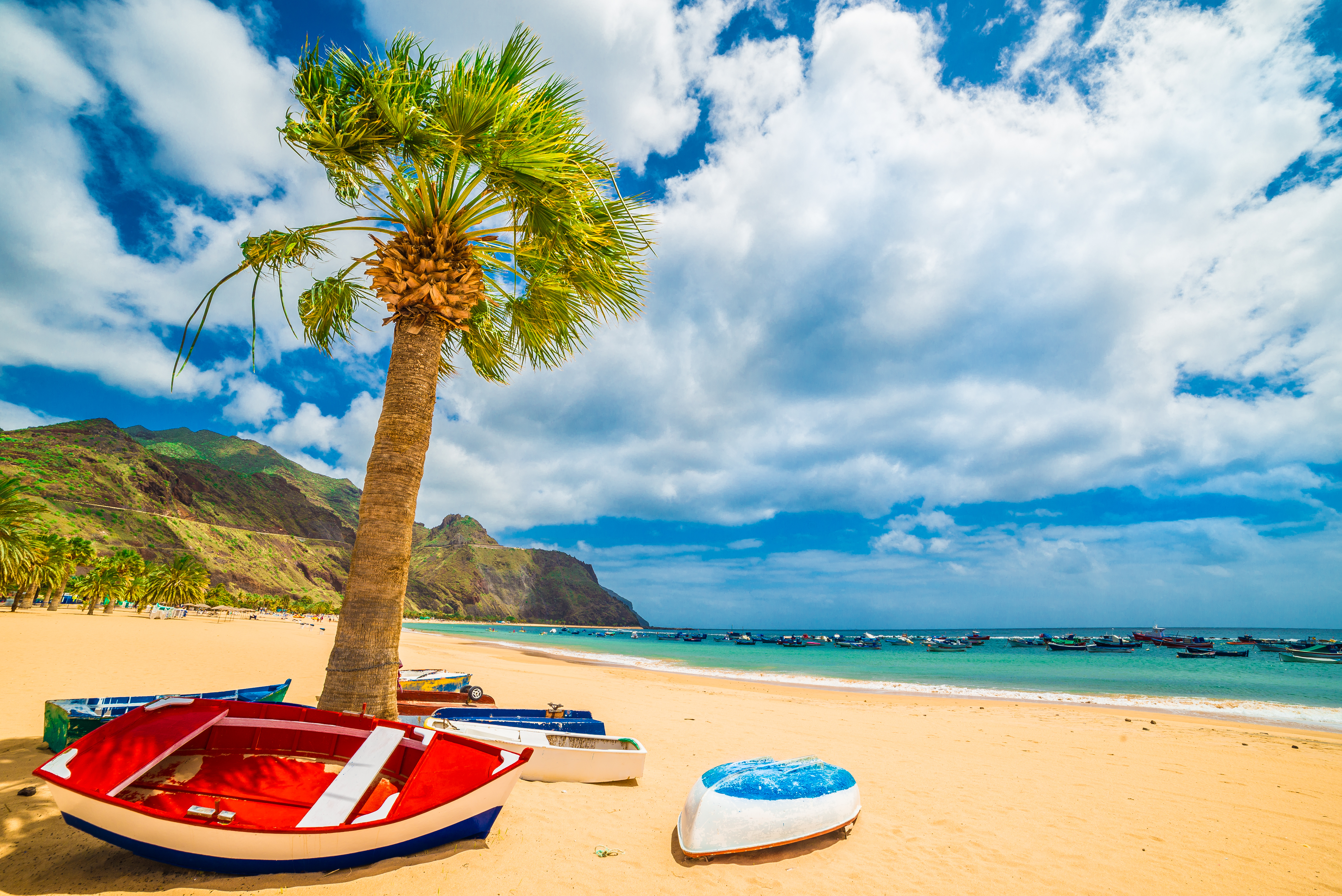 Kindvriendelijke vakantie Tenerife