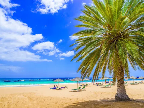 Vakantie Canarische Eilanden