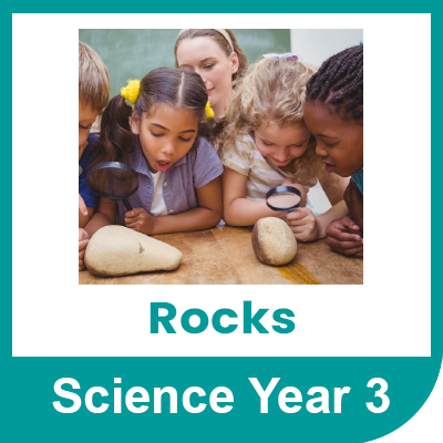 Science Year 3