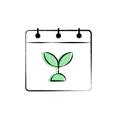 Green seedling