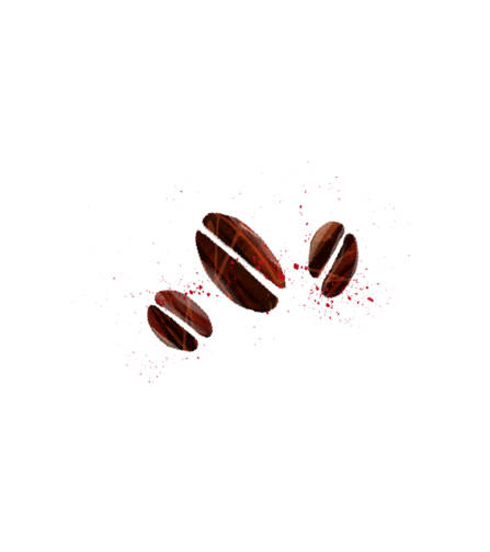Coffe beans