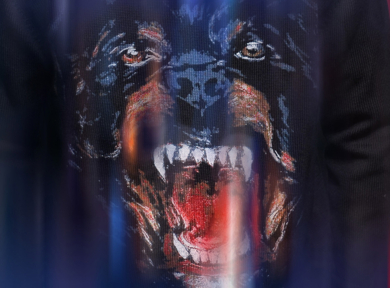 洋書 A MAGAZINE CURATED BY RICCARDO TISCI A MAGAZINE CURATED BY RICCARDO TISCI