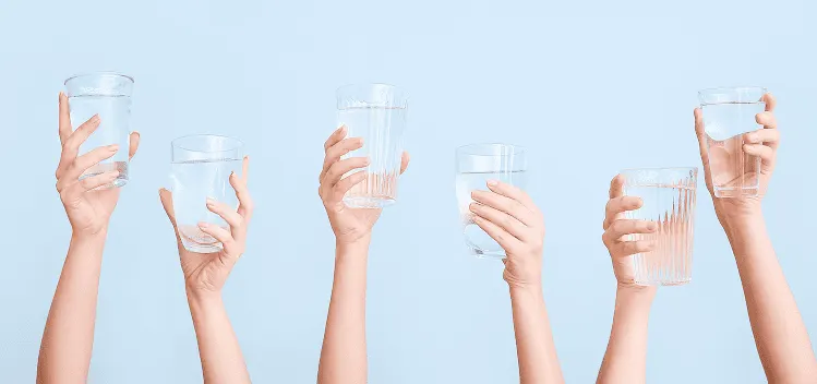 AdobeStock 524420216 SP