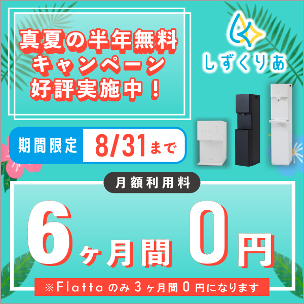 6か月間無料になるキャンペーン実施中！