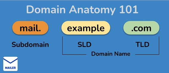 domain anatomy 101 diagram