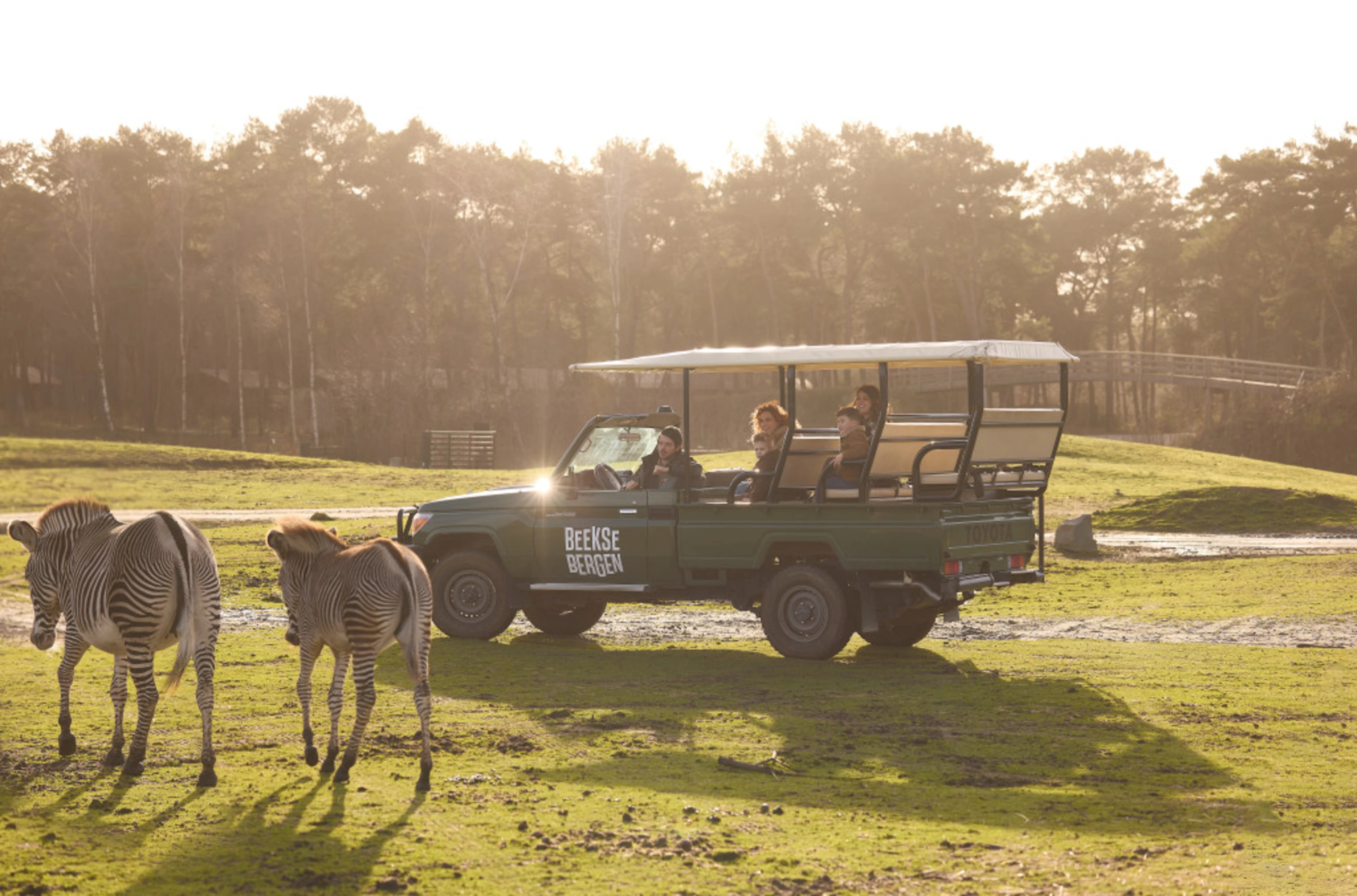 Beekse bergen game drive zebra jeep ranger gezin