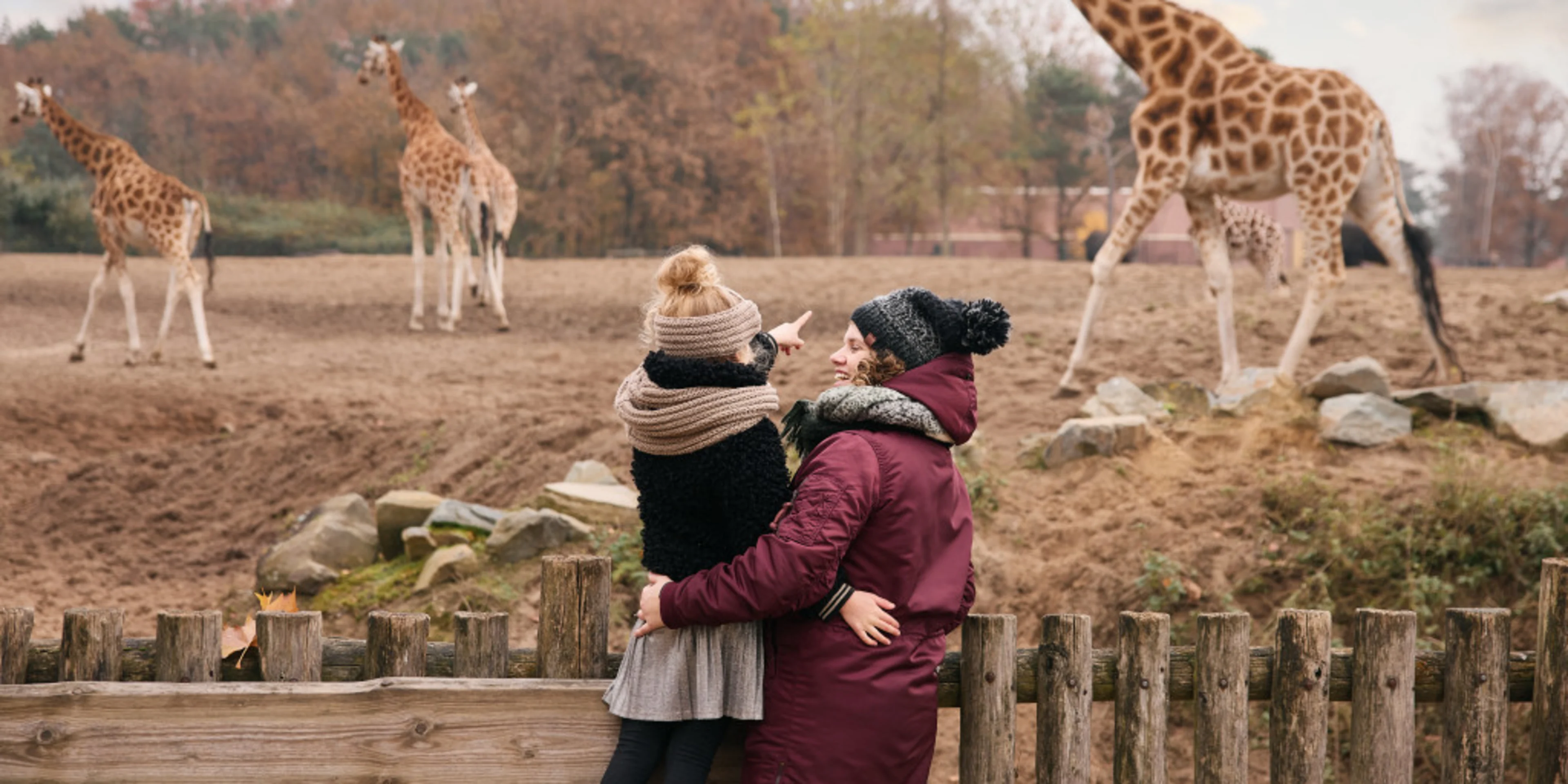Beekse Bergen safaripark giraffe moeder kind winter