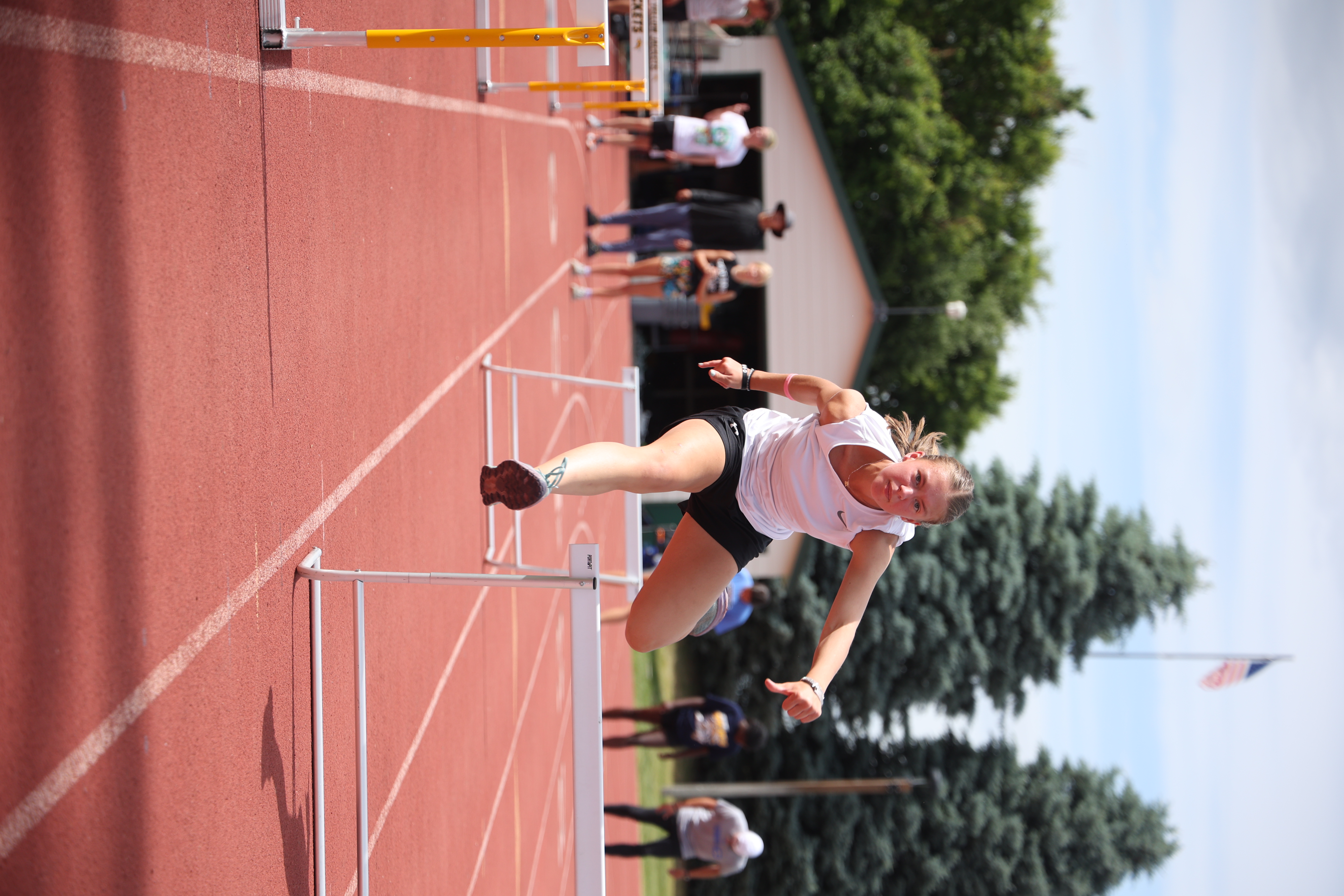 Hurdle