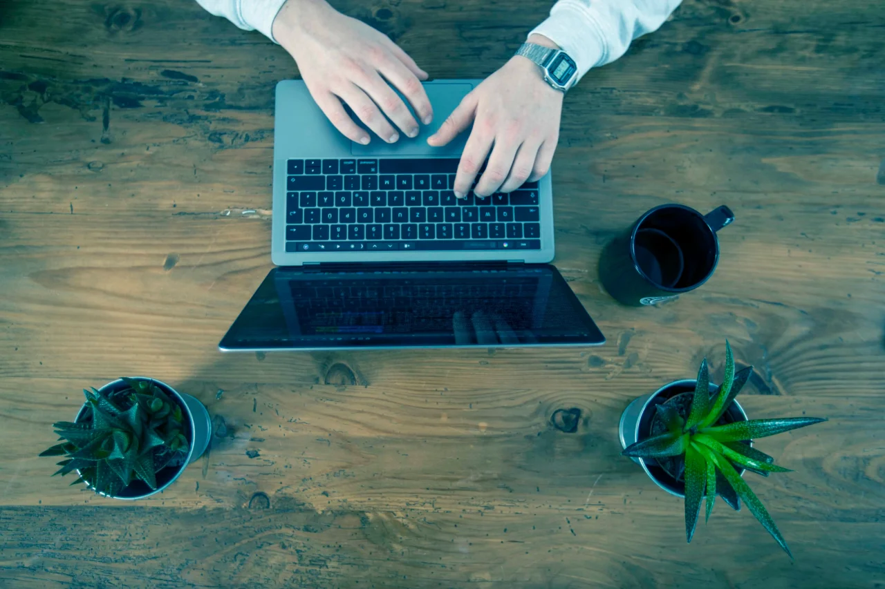 Person tippt auf Laptoptastatur und zwei Pflanzen stehen daneben