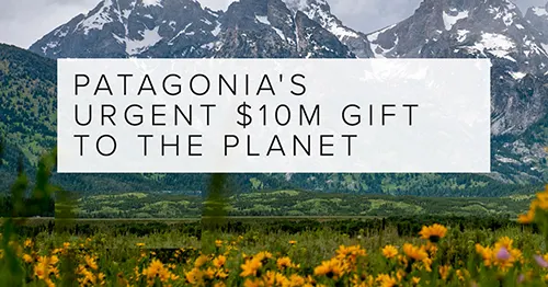 Banner announcing Patagonia’s donation