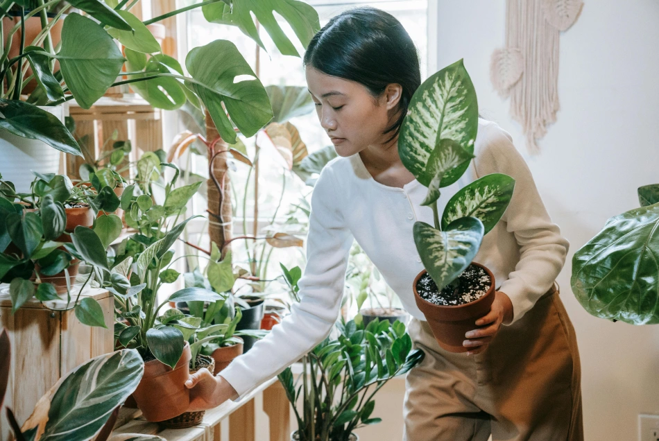 woman gardening