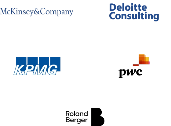 A group of logos including McKinsey & Company, Deloitte Consulting, KPMG Advisory, PwC Advisory / Strategy, Roland Berger