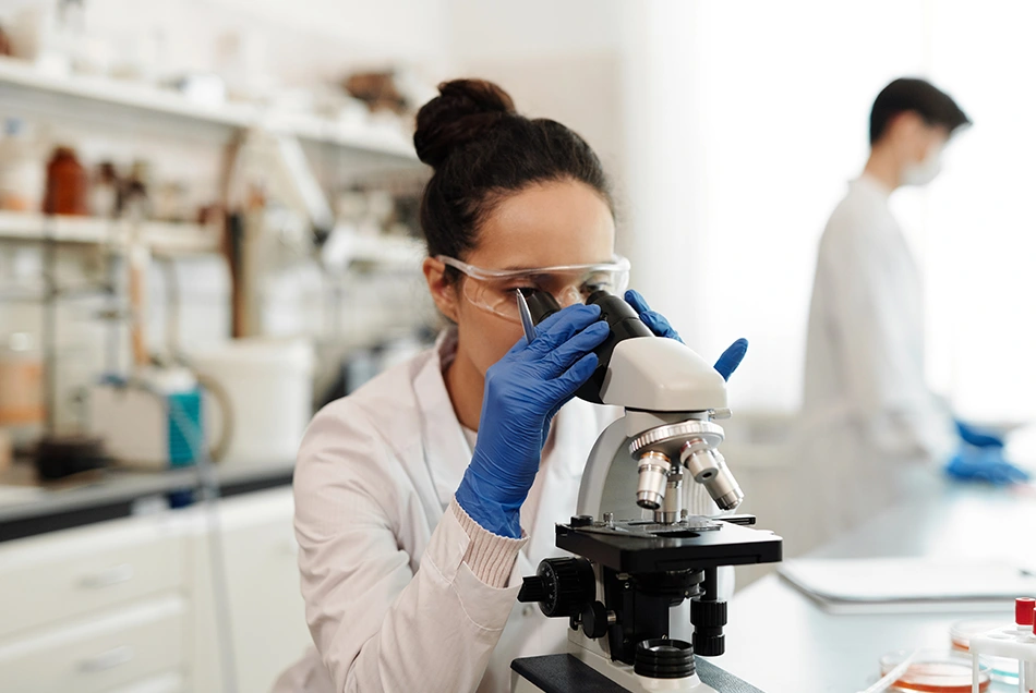 Lab