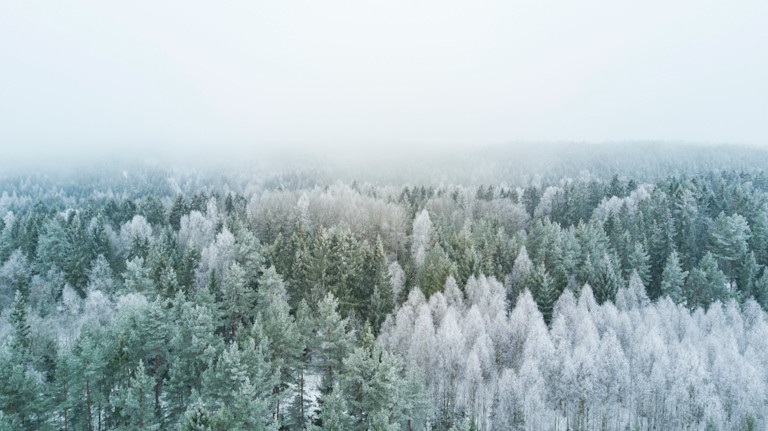 atle-mo-X9QnU-h3X 8-unsplash