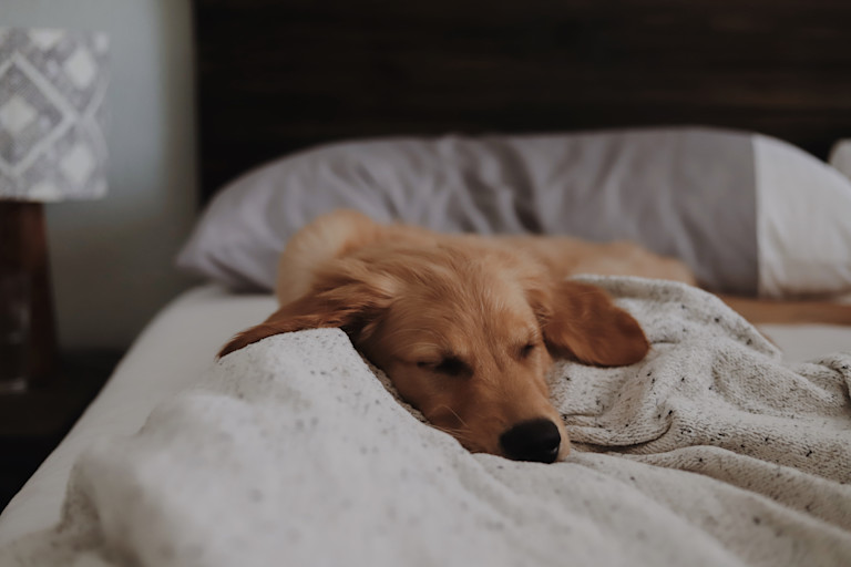 amy-humphries-ct3R7hE1dXQ-unsplash