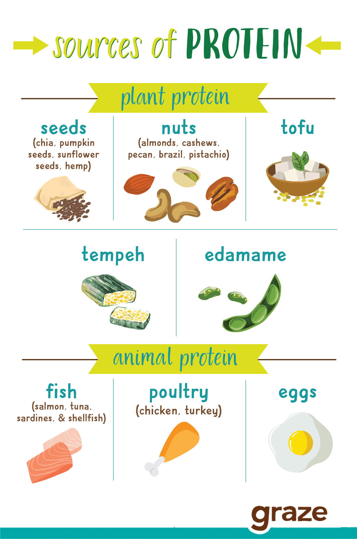 Top 7 Healthiest Sources of Protein graze uk blog