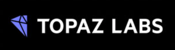 Topaz Labs written in white on a black background with a purple stone next to it