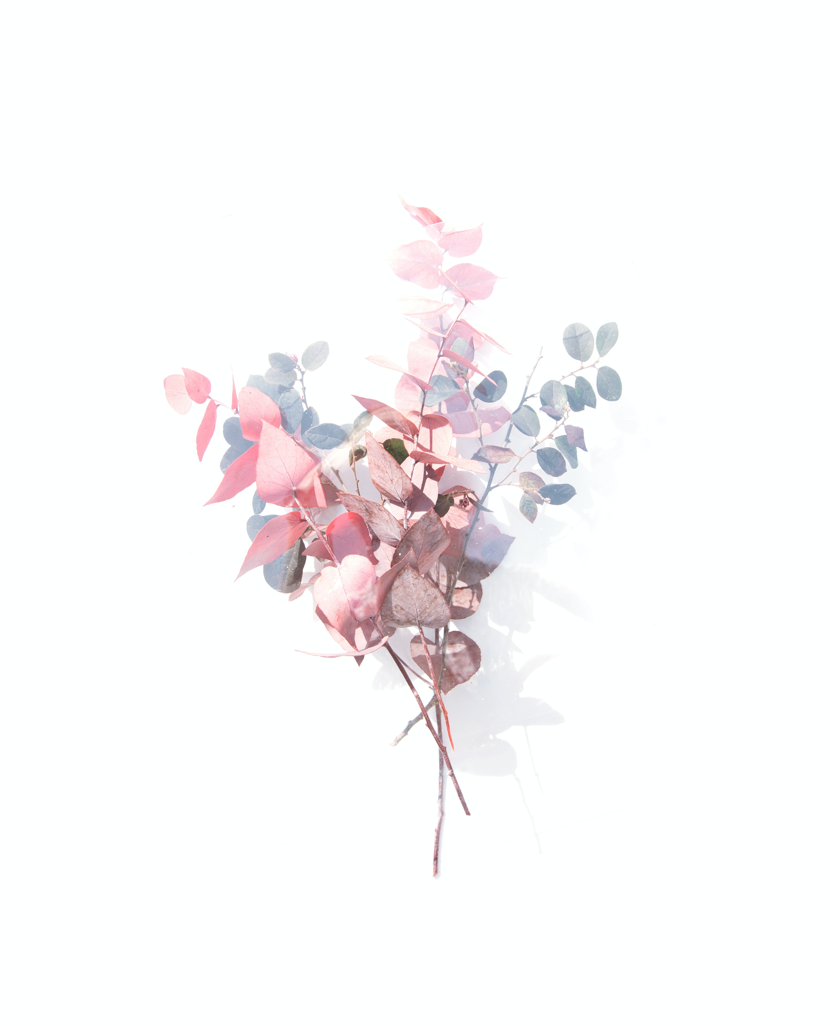 post cover