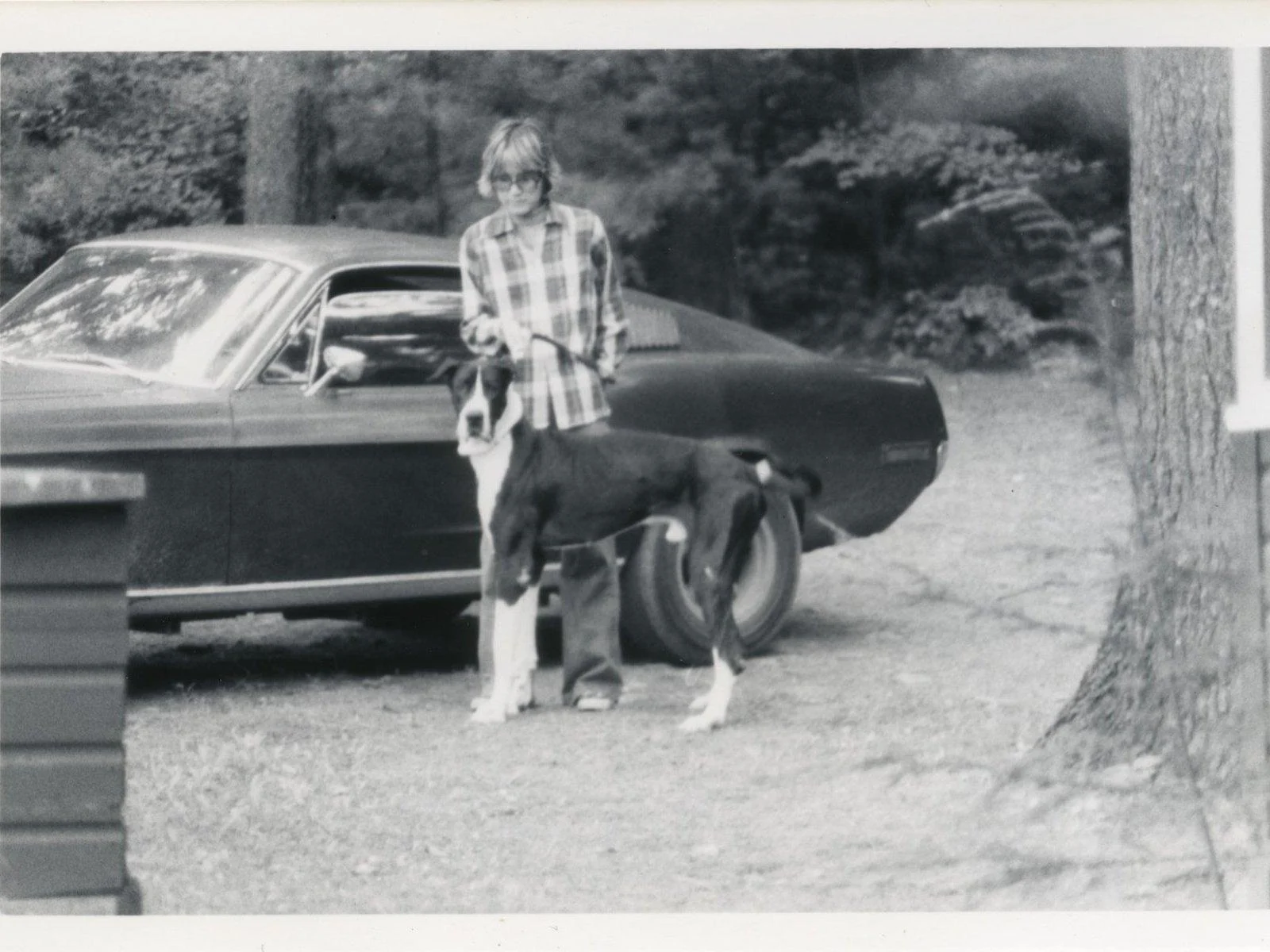 15 - 1968 Ford Mustang