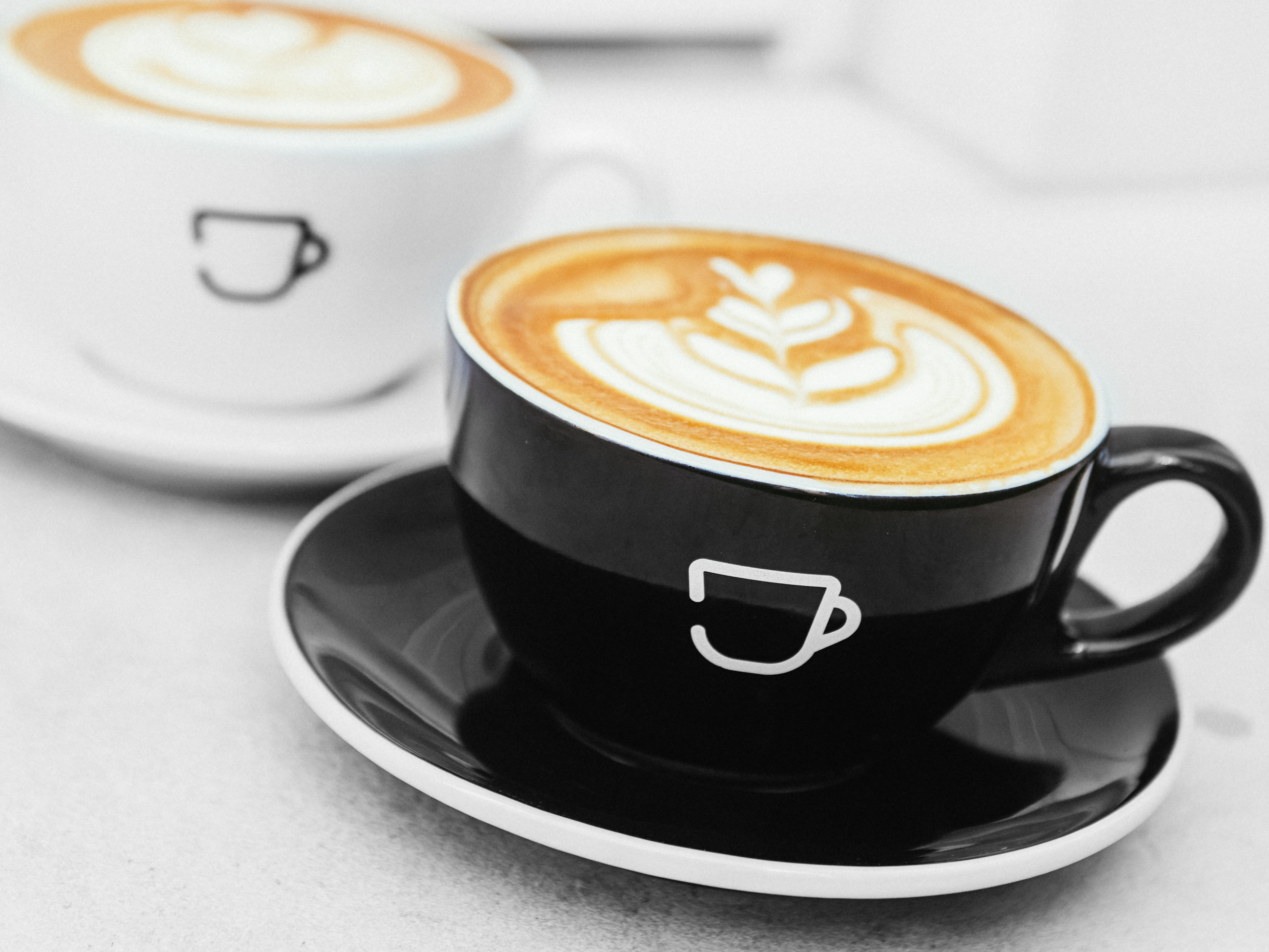 Howlt Coffee Cup and Saucer