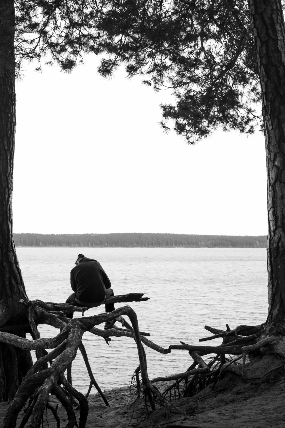 Person sitting on the branches of tree. Tree branches are outside the ground above the ground level.