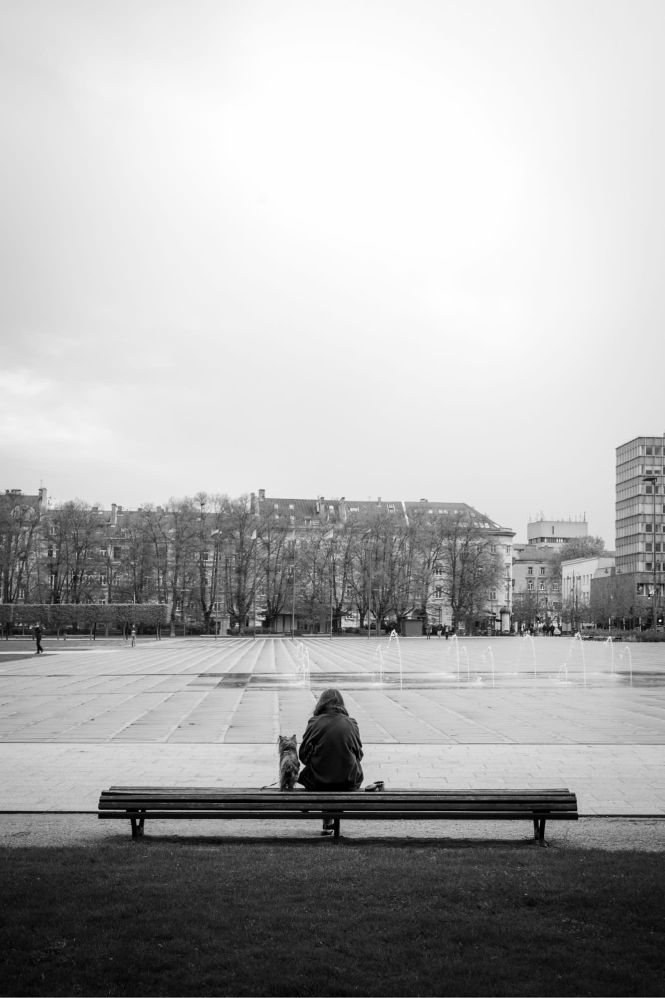 Lone person with dog sitting on a bench in Lukiskiu Square, Vilnius