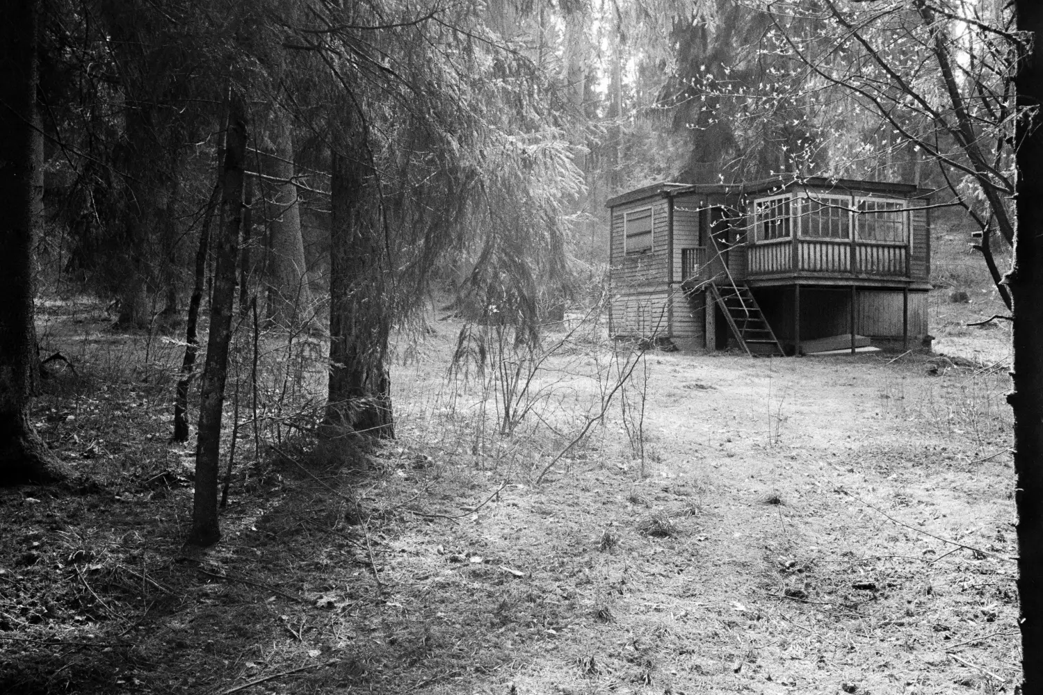 Cabin in the woods on a foggy day