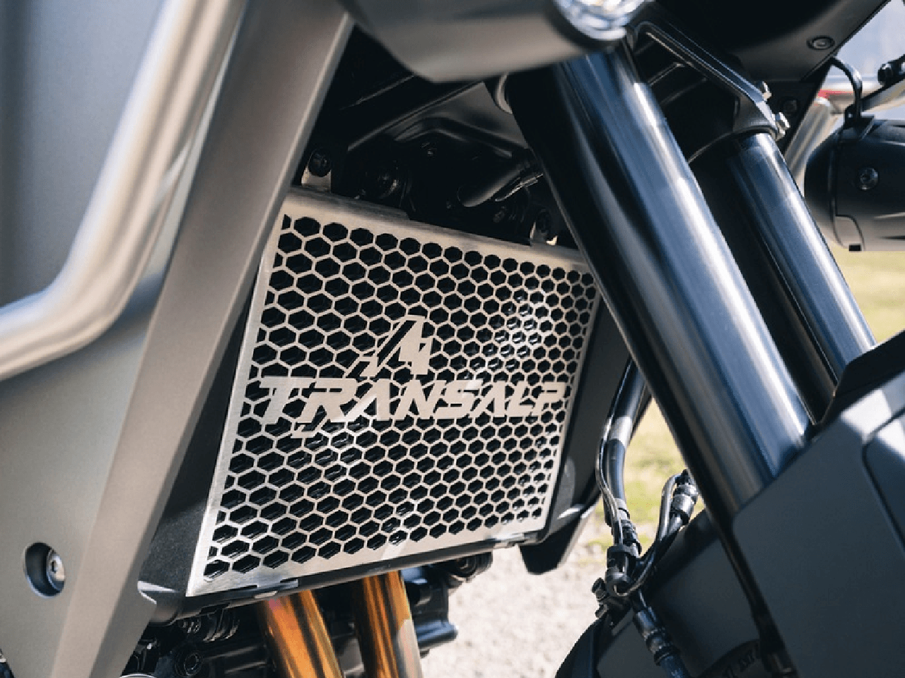 RADIATOR GRILL - Variant Image