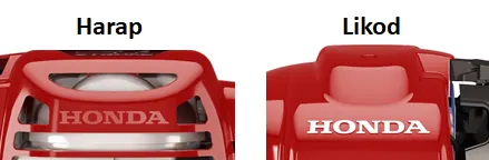 6195cbc71f64c.png