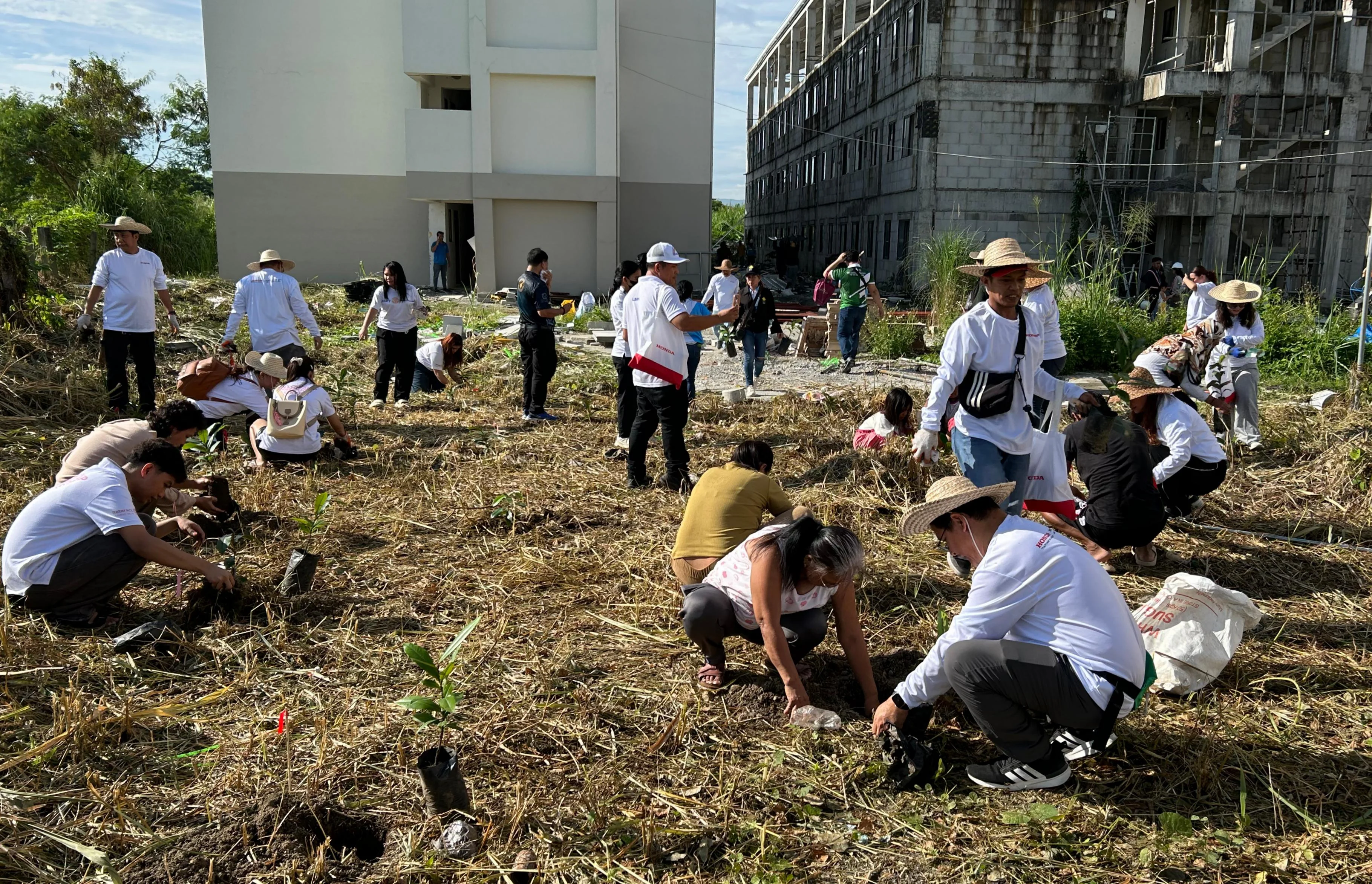 plantng site 6