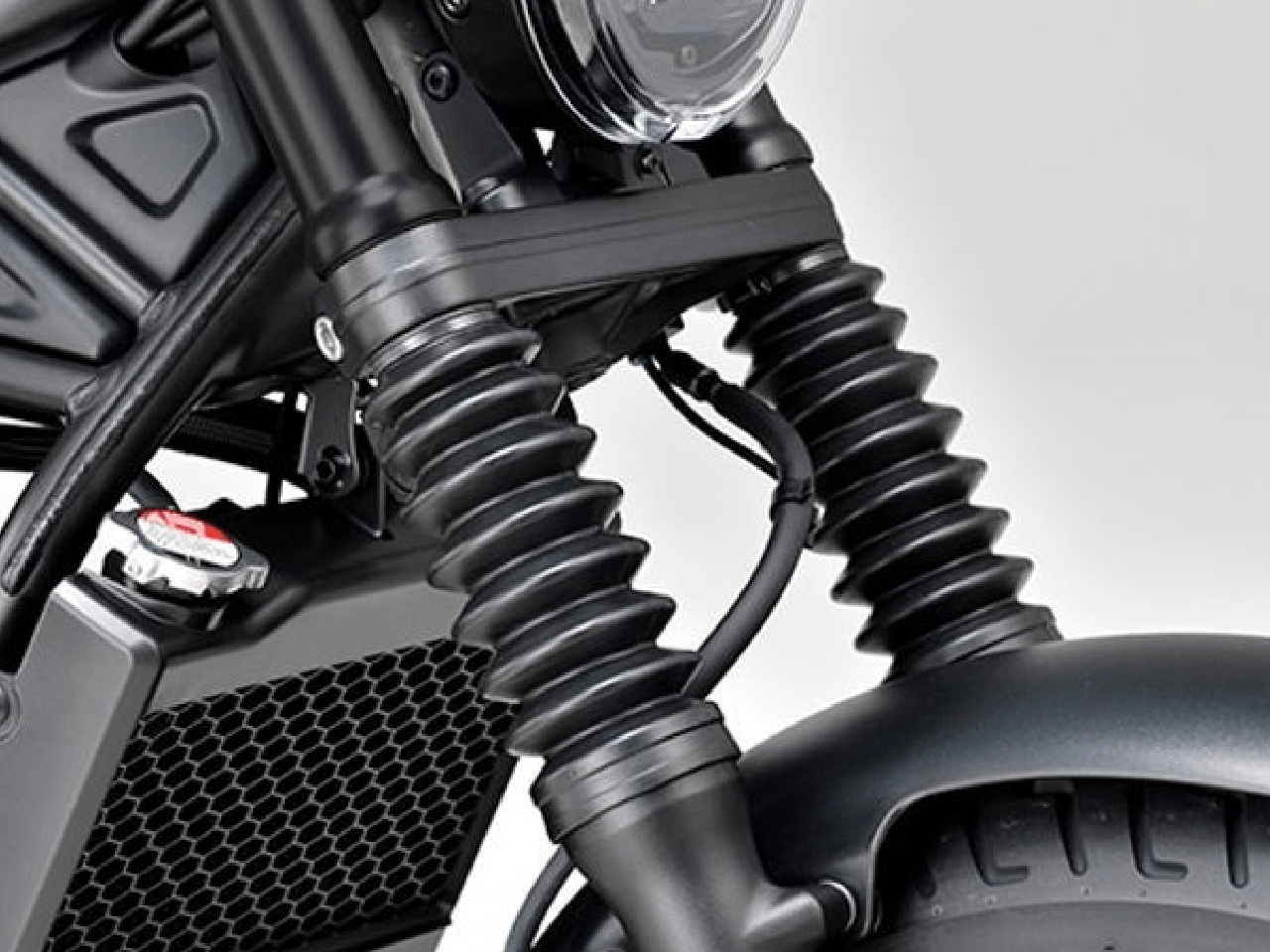 FR FORK BOOT (Rebel 500) - Variant Image