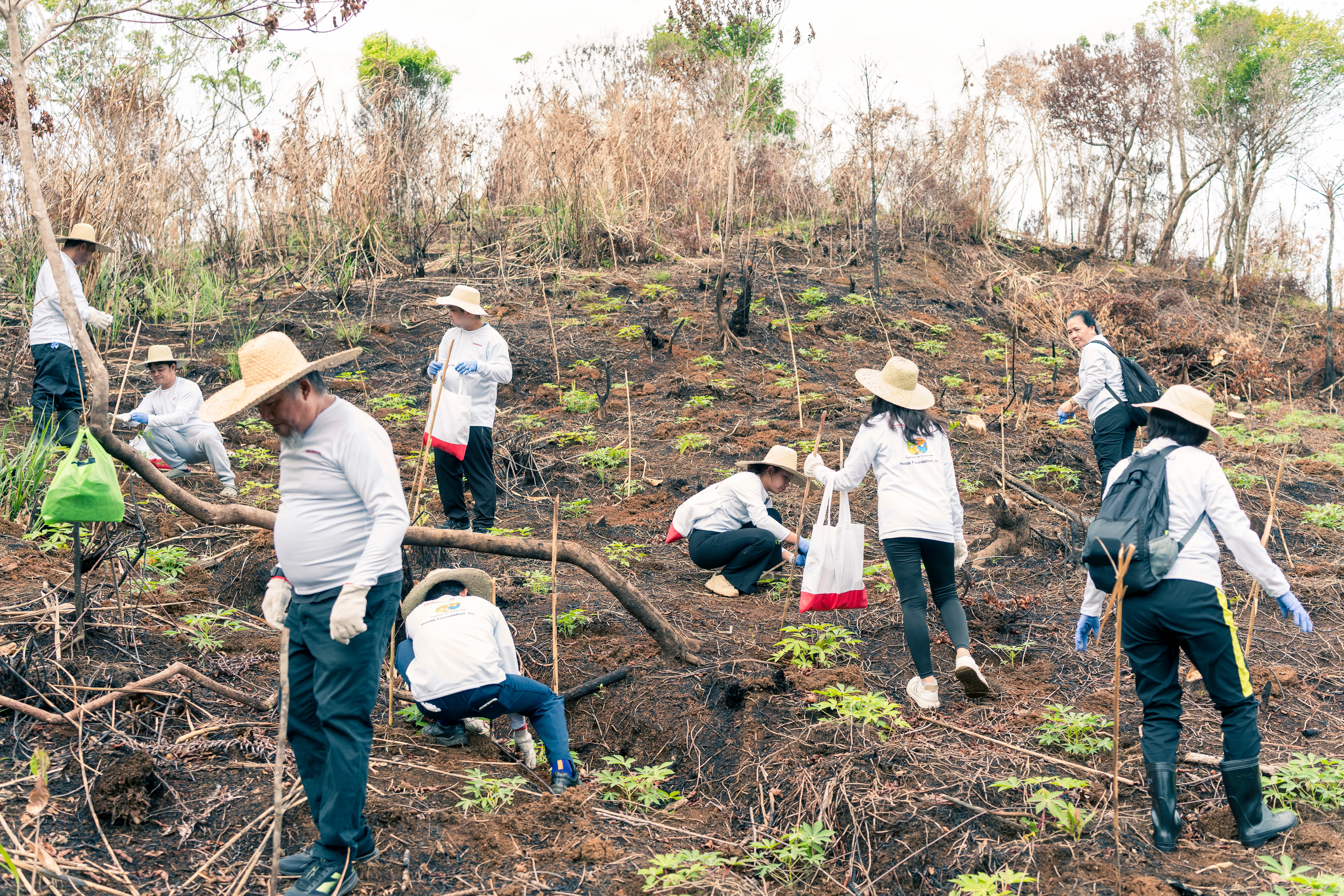 Actual TP_   HONDA Tree Planting 2026-259