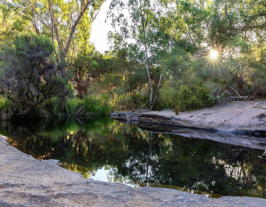 Roley Pool Reserve