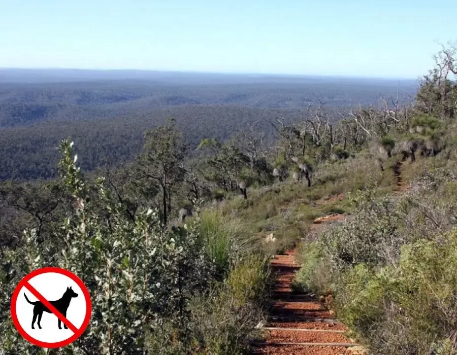 Helena National Park | Mt Dale Circuit Walk Trail