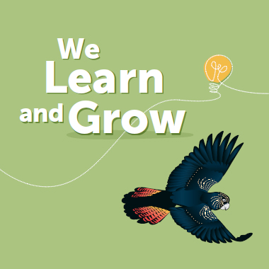 We Learn and Grow