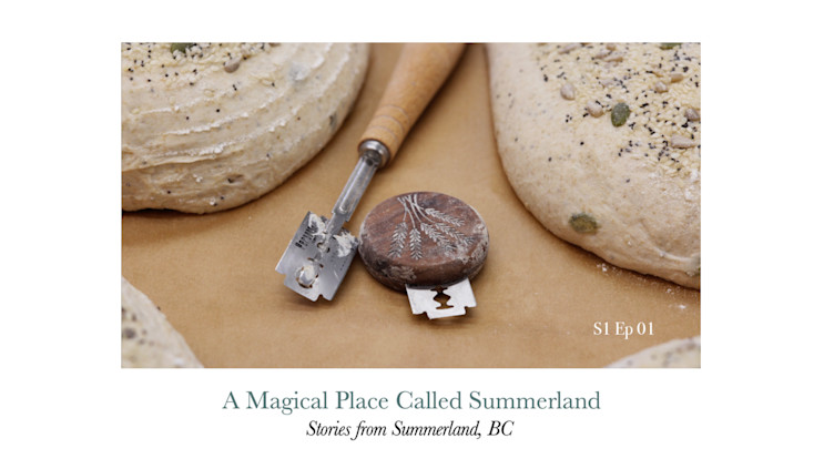 A Magical Place Called Summerland