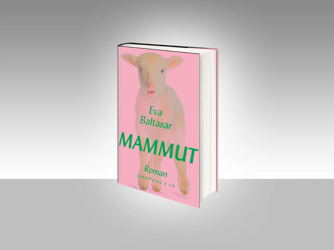 SH / Foto Baltasar Mammut