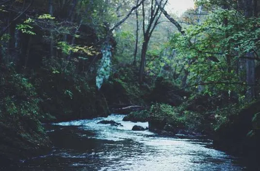 Dark River