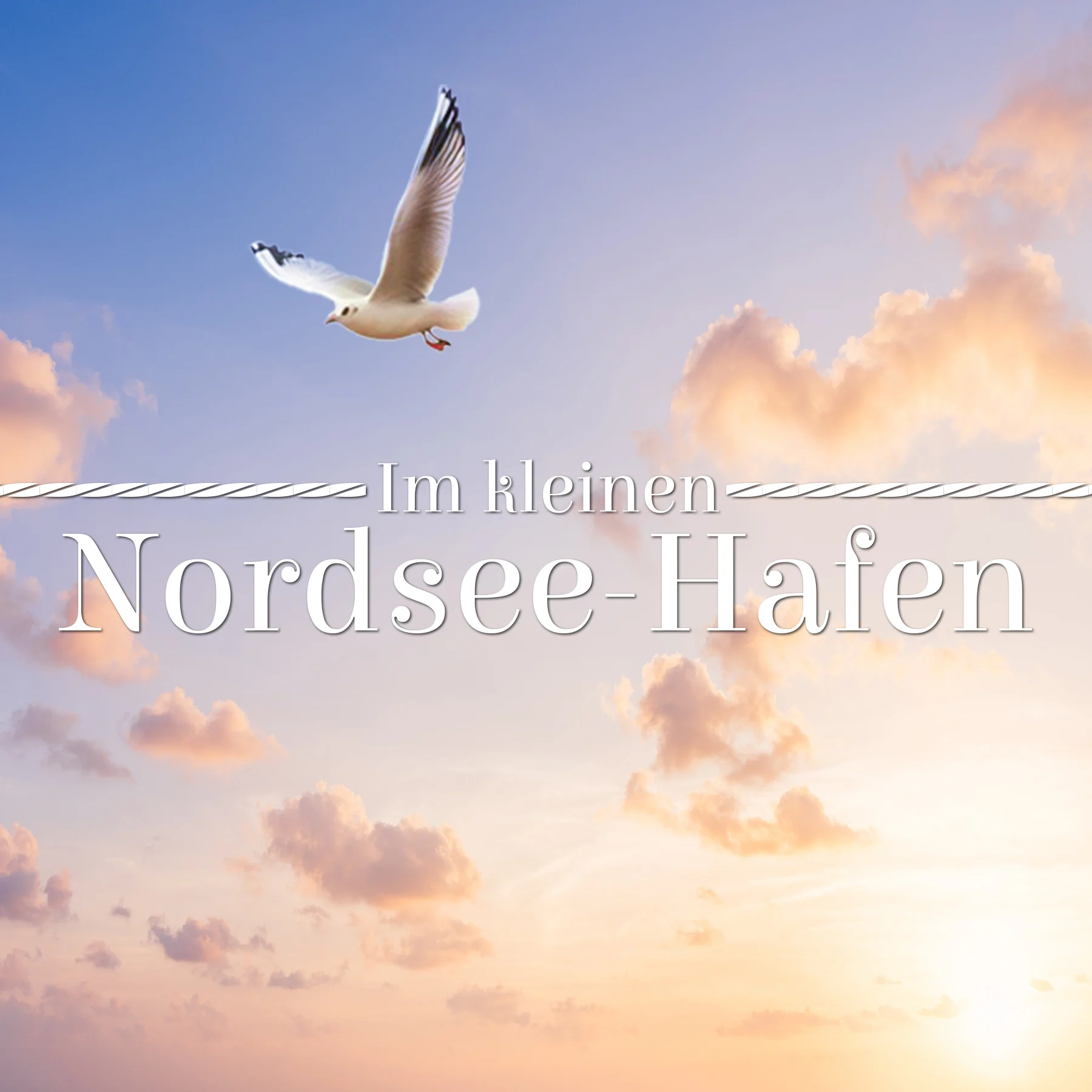 🏰 Media / Placeholder Image 1