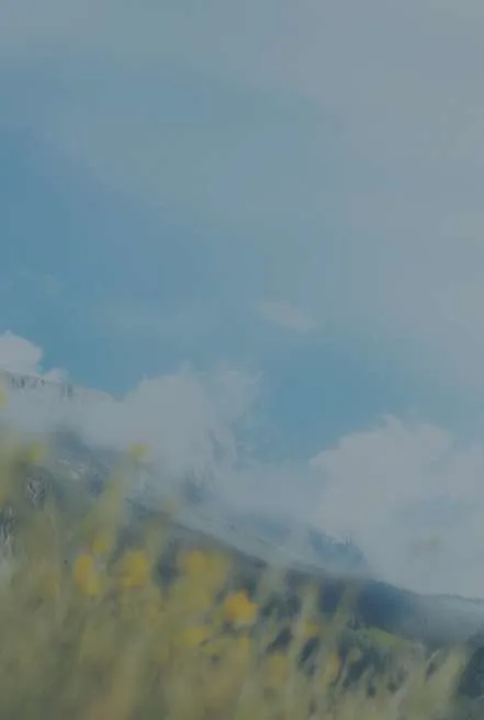 🏰 Media / Genre Image / Rocky (darker)