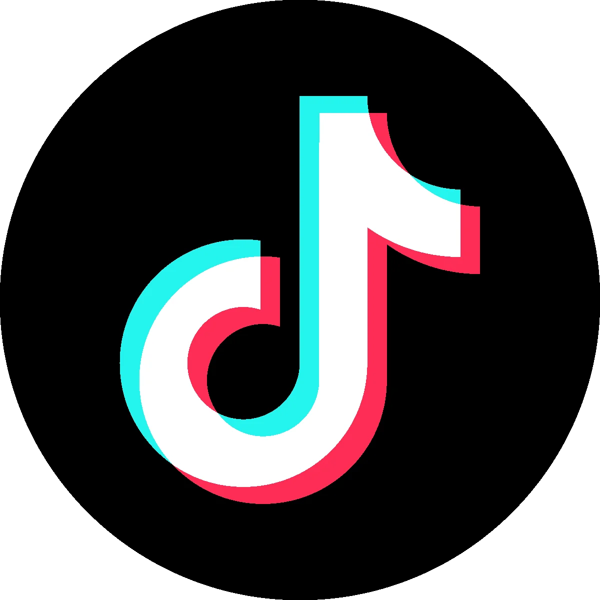 Shelfie | TikTok