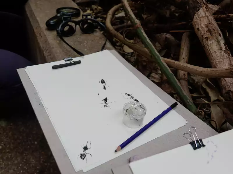 Two pieces of paper and a pencil sit on the side of a planter, one of the pieces of paper has some drawings of tiny ants