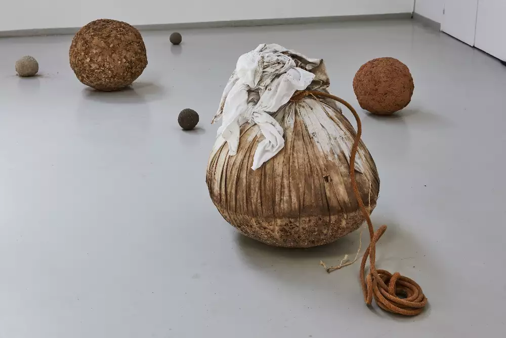 Dried balls on soil on the gallery floor