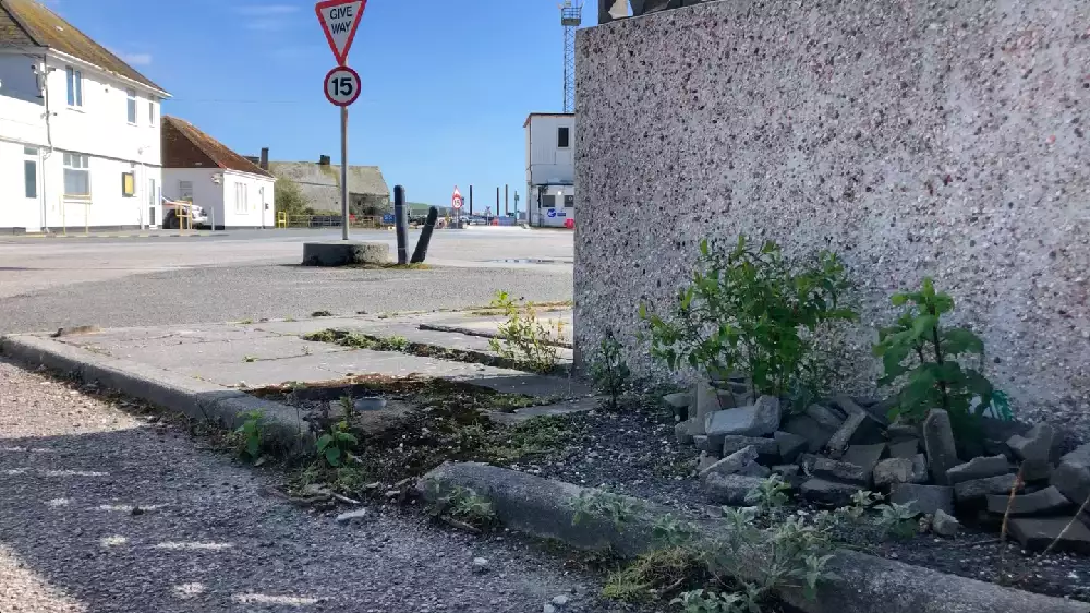 Image of a slightly broken pavement with weeds growing out of the rubble