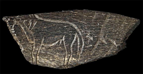 Small fragment engraved with the figure of a horse. Paleolithic; Montastruc, France. ©The Trustees of the British Museum via https://donsmaps.com/ 